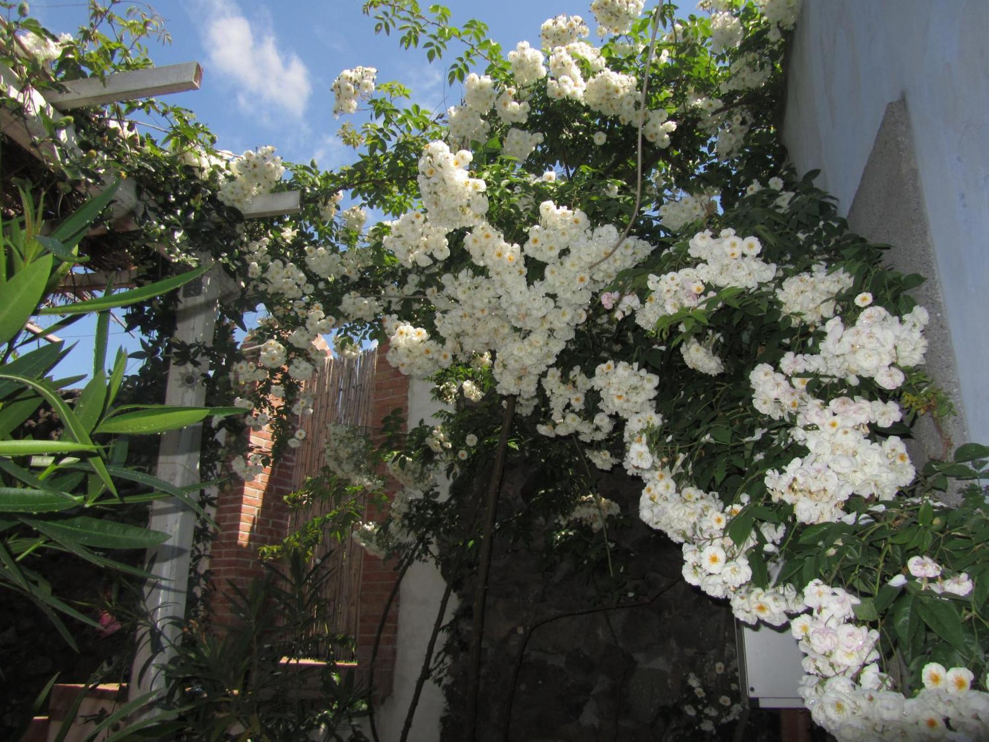 Come In Sicily La Pietra Monaca Apartment Acireale Room photo